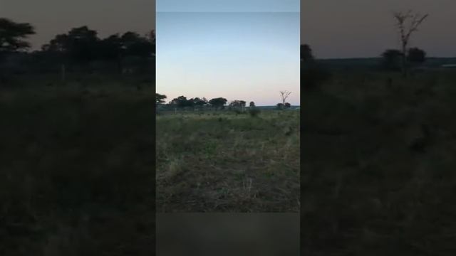Увлекательная природа