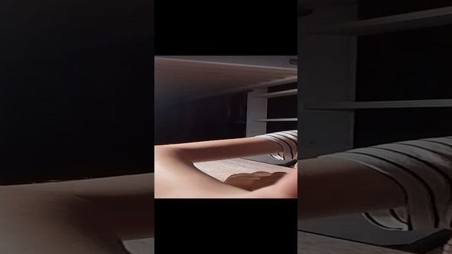 ЧЕЛЕНДЖ!!!! Кто твёрже?? Победила лапка!!