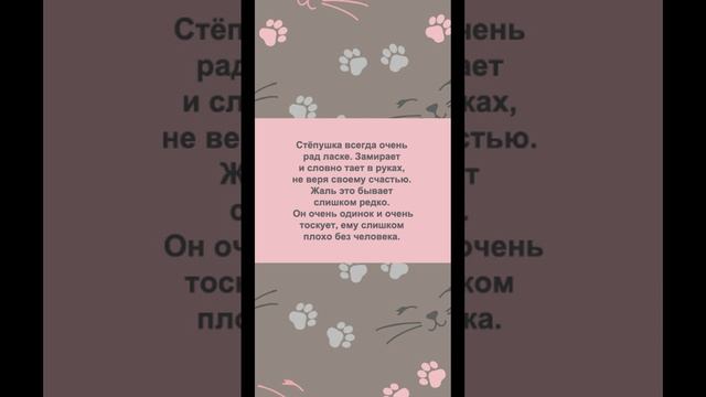 Одинокое сердце Стёпушки ждёт свою семью.