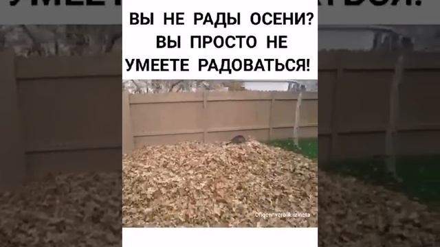 я всегда так радуюсь