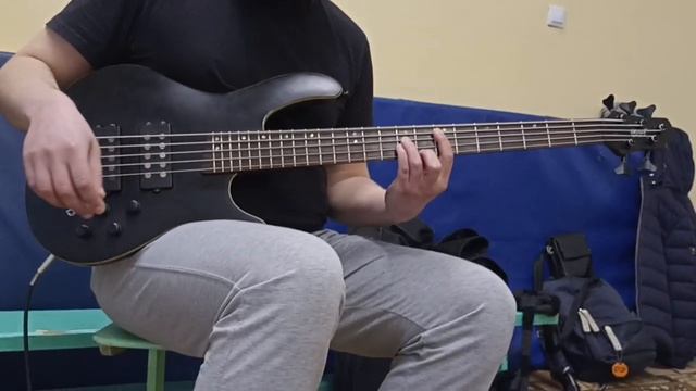 Бас Cort C5H