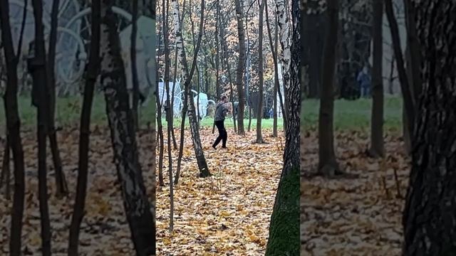Jackie Chan in the Forest: The Clumsy Martial Artist