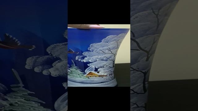 1000083017.mp4