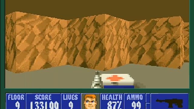 Wolfenstein 3D (E6M9) (100%)