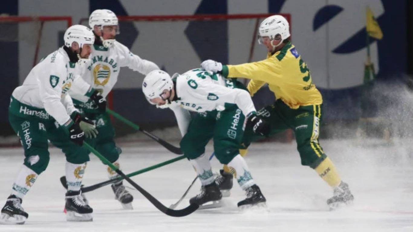 «Ljusdals BK»-«Hammarby IF» 16 Nov Elitserien 2024-25