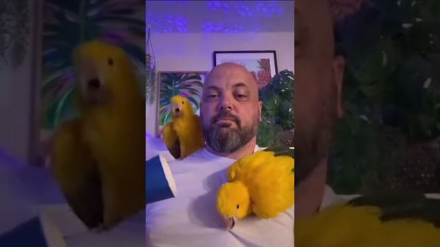 1000011896.mp4