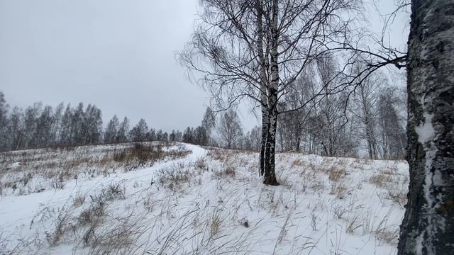 Осень. Первый снег