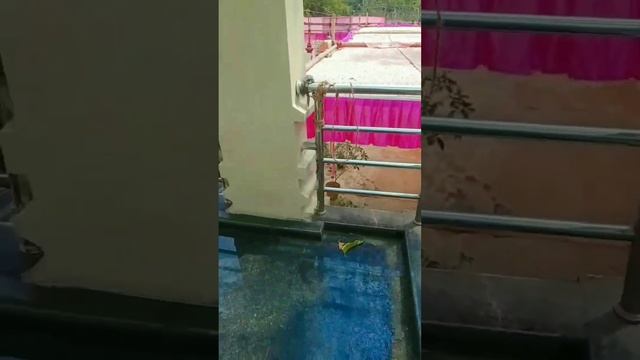 hostel ro pila mane sobu  maha Shivaratri kemiti manile chalontu dekhiba 🥰