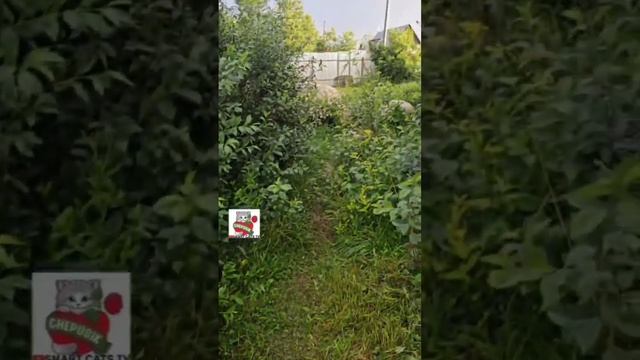 " Отче наш..." Молитва Самого Иисуса Христа данная нам 😇🌈💓🙏😻
