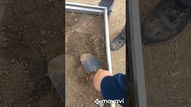 ЗАВЕРШЕНИЕ ПОСАДКИ ОГУРЦОВ В ШКОЛЬНУЮ ТЕПЛИЦУ. ОГОРОД НА КУБАНИ. shorts#