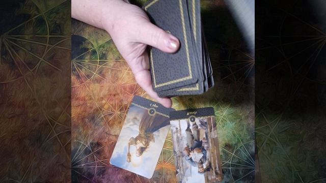 17 стрелец