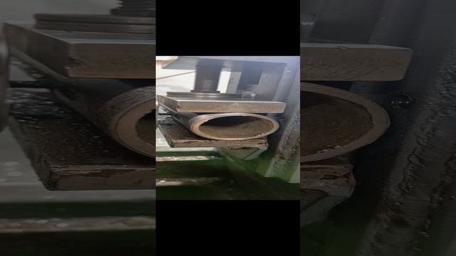 1000019484.mp4