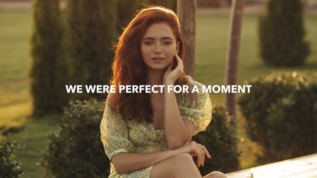 Nikademis & Dani King - Perfect For A Moment (Lyrics) - 686