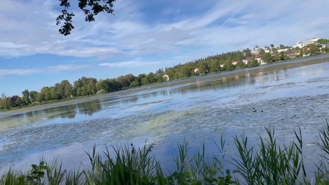 Sweden | Швеция | Скандинавия | озеро | шведская жизнь | шведская работа | шведская учеба | влог |