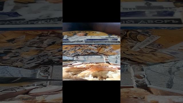 1000032623.mp4жизнь кормушки.16.11.2024г.