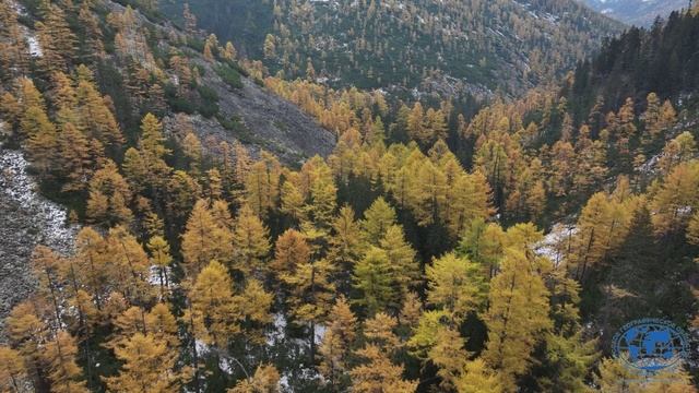 Тропой испытаний Горигория Федосеева Галам и Селиткан
Амурское областное отделение РГО
2024