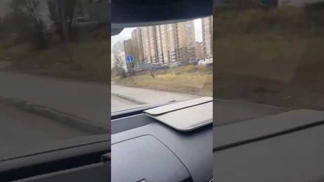 Олень в Подмосковье
