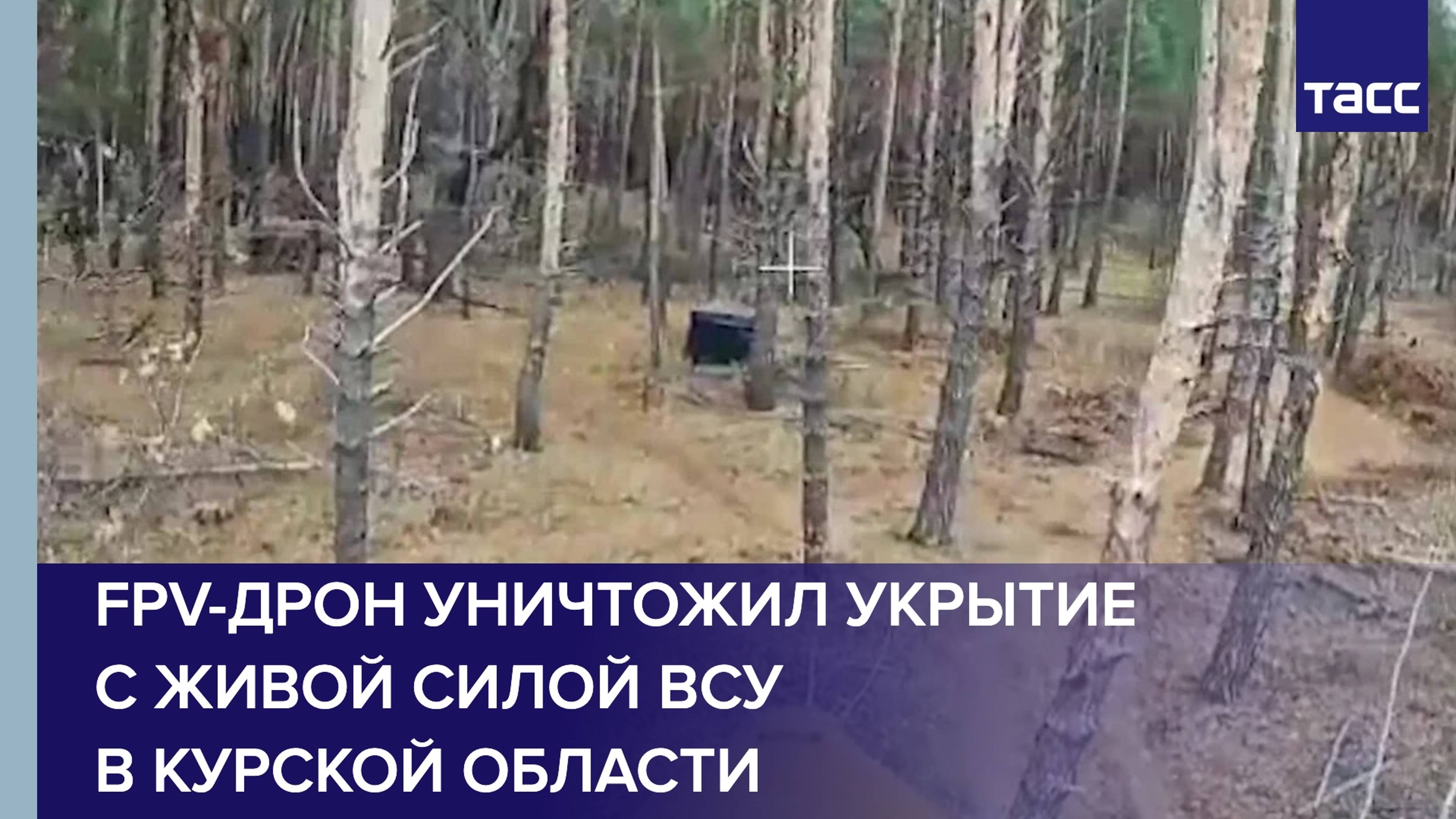 FPV-дрон уничтожил укрытие с живой силой ВСУ в Курской области