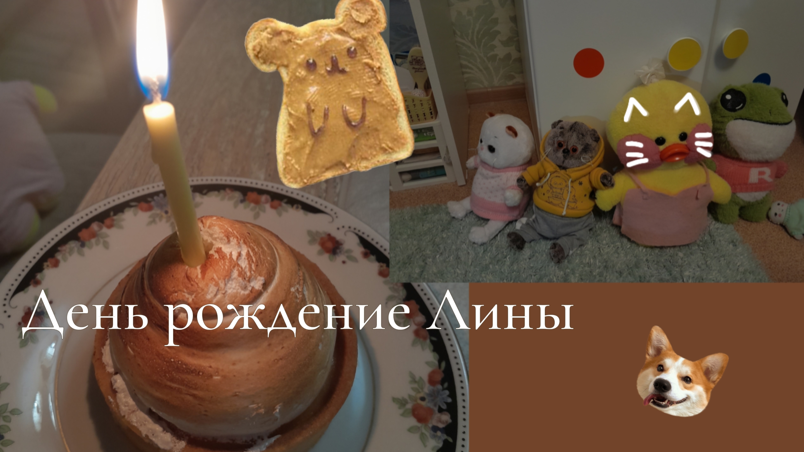 День рождение Лины 🥳