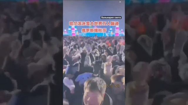 VID_20241111_193626_952.mp4