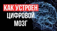 Как работает ИИ? Что у него под капотом? Как думают и учатся нейронные сети?