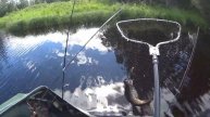 Рыбалка. 2 щуки за 2 минуты