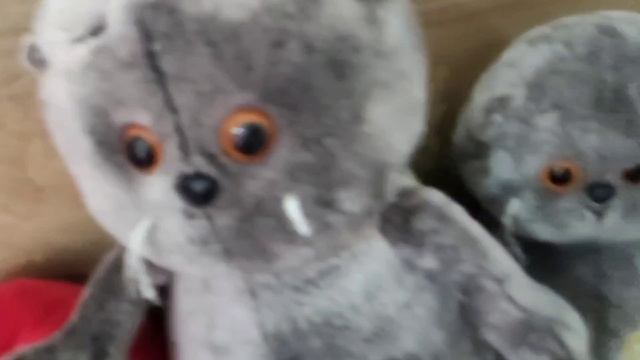 1000000979.mp4