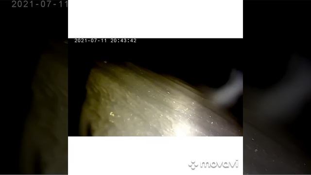подводная охота COM СГЭМ