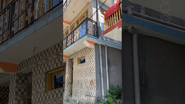 Поехали в Наггар в долина Куллу посмотреть музей - усадьбы Рерихов
