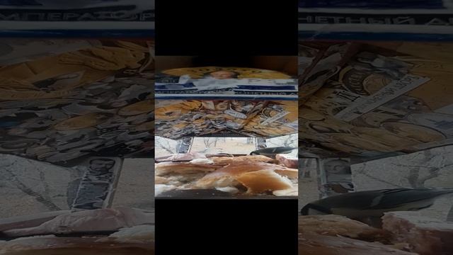 1000032807.mp4жизнь кормушки.17.11.2024г