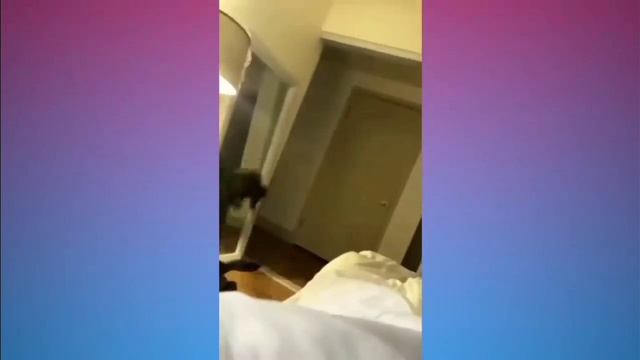 5 минут смеха