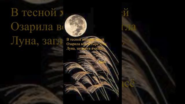 Басё - "В тесной хибарке моей"