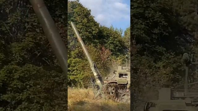применяется Тюльпан 240мм
