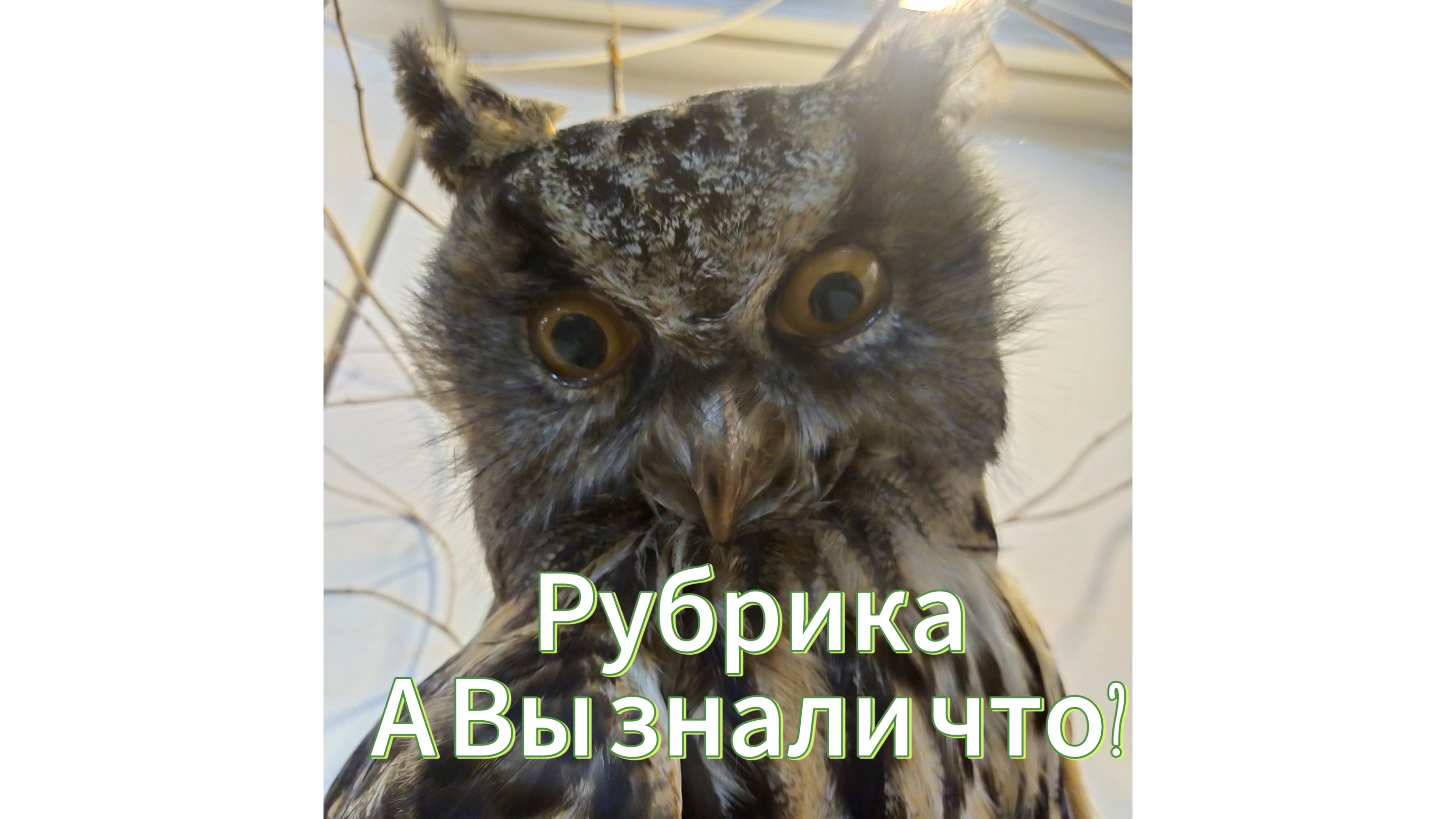 Это интересно