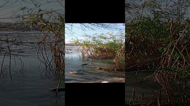 1000006923.mp4