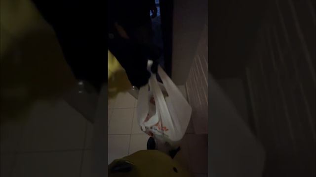 4 часа работы в Яндекс Еде