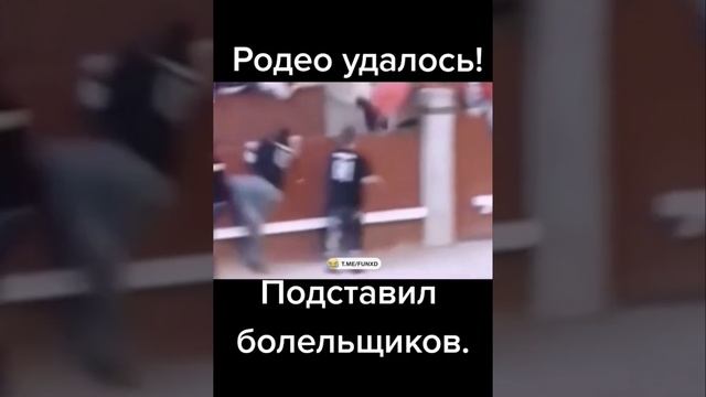 родео удалось