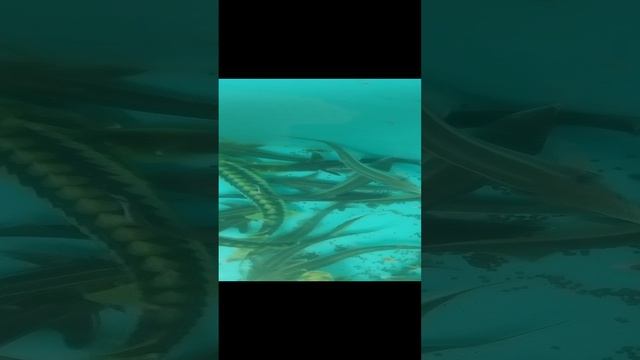 1000050495.mp4