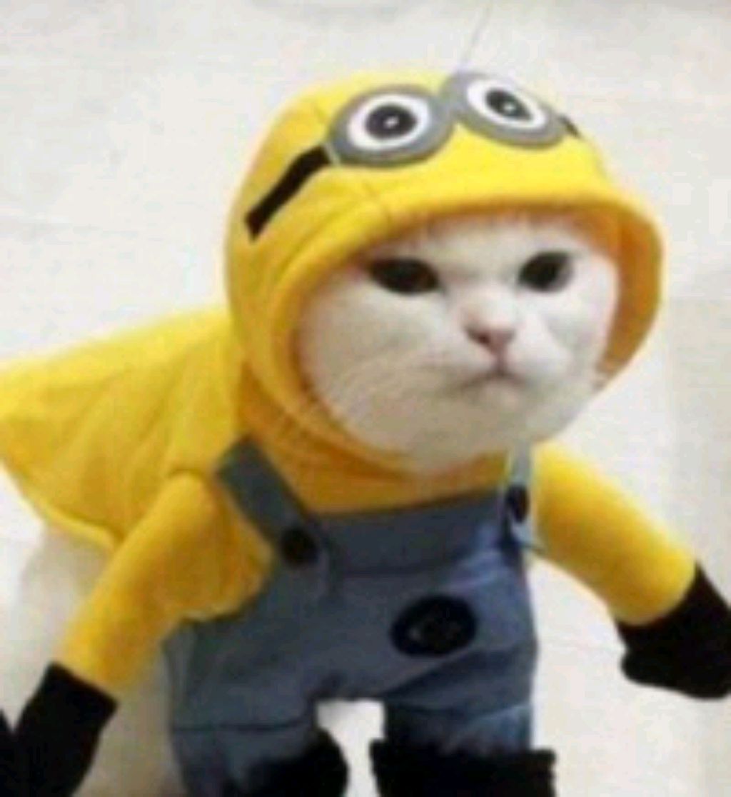 играю