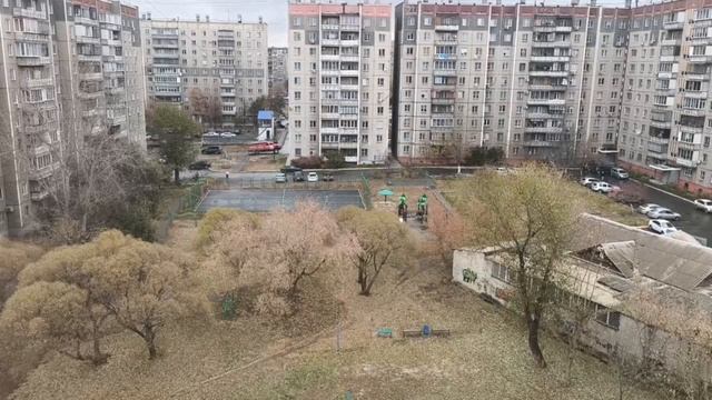 video_2024-11-17_13-44-45