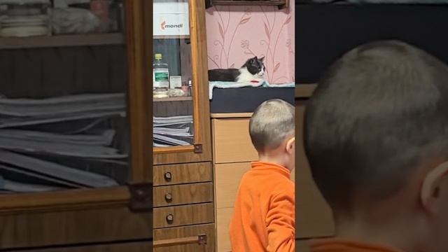 Настроение у кошки, когда приезжают дети 😼