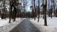 Влог / Город Раменское. Раменский парк. Предновогодняя прогулка / 31.12.23.