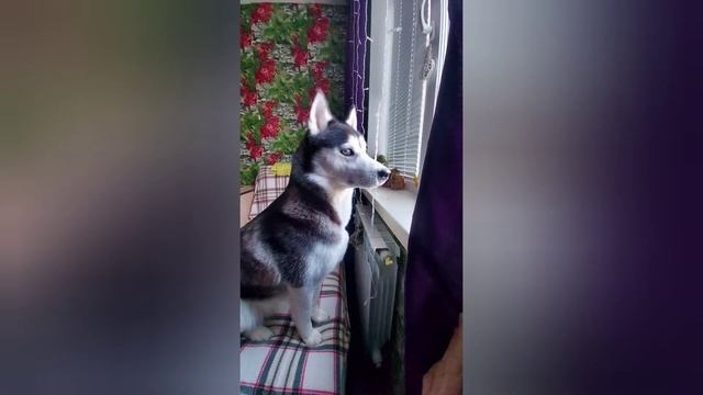 Маленькая булочка с яблоком!