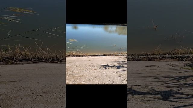 1000015546.mp4