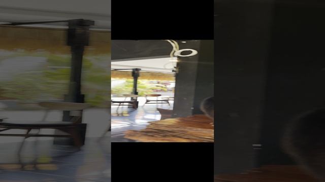 Бали, Зверек Лювак производящий самый дорогой кофе в мире.