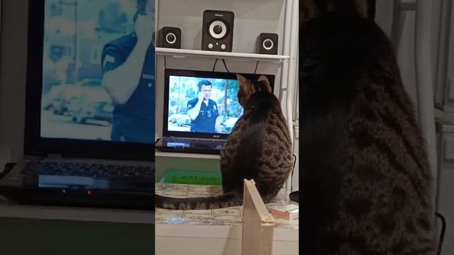 Ох уж это Кони