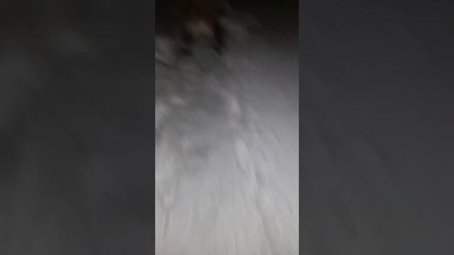 1000029465.mp4