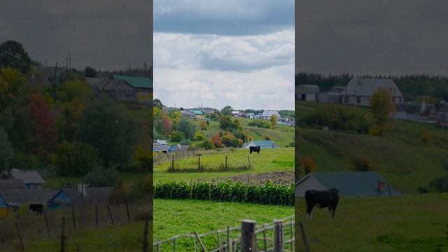 Эту песню знают все татары