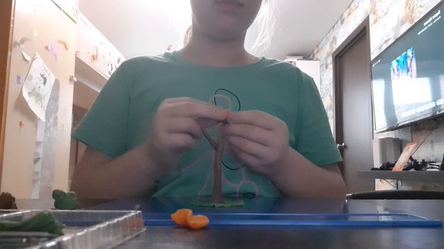 20241117_124626.mp4
