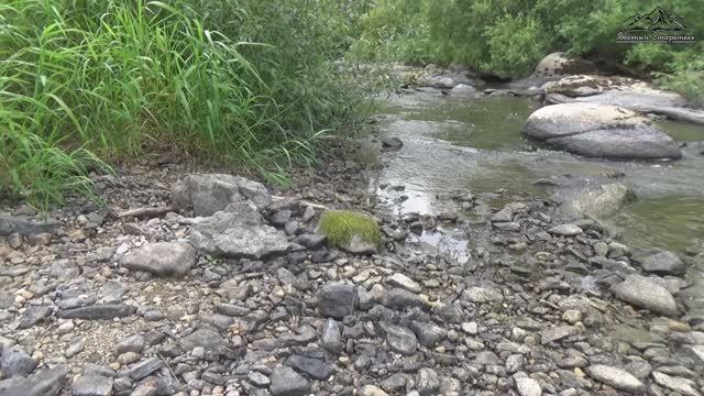 Золота много  не бывает